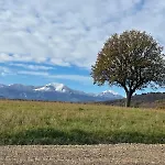 Monte Pino