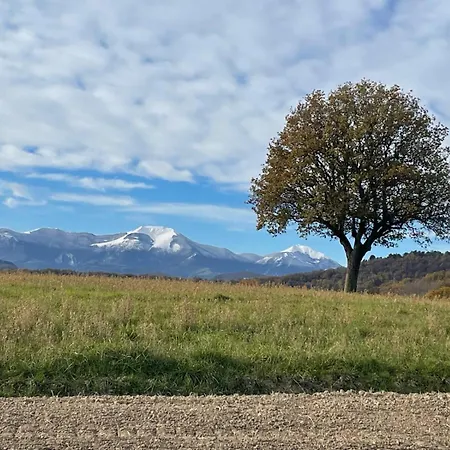 Monte Pino
