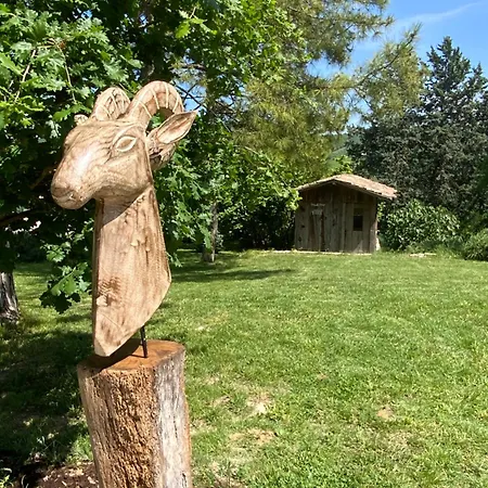 Apartamento Monte Pino