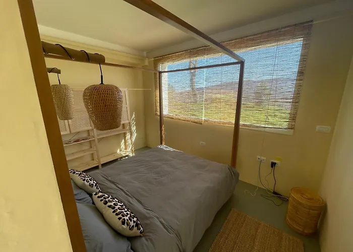 Monte Pino 佩尔戈拉