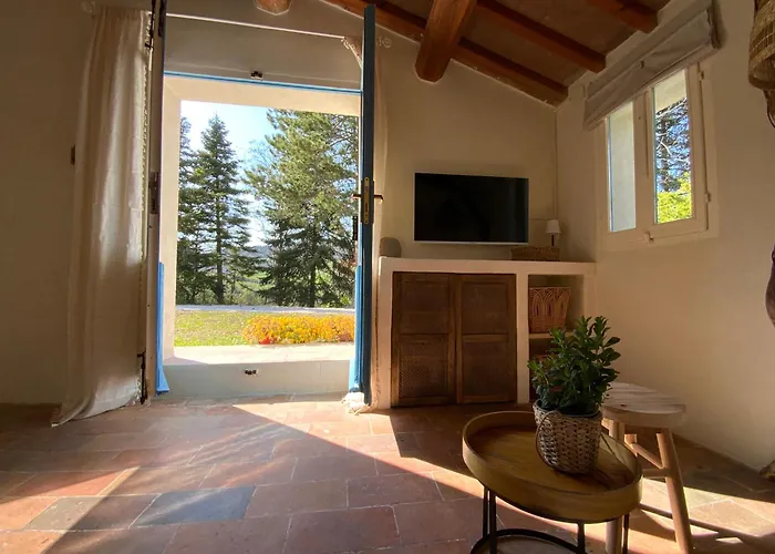 Monte Pino * Pergola